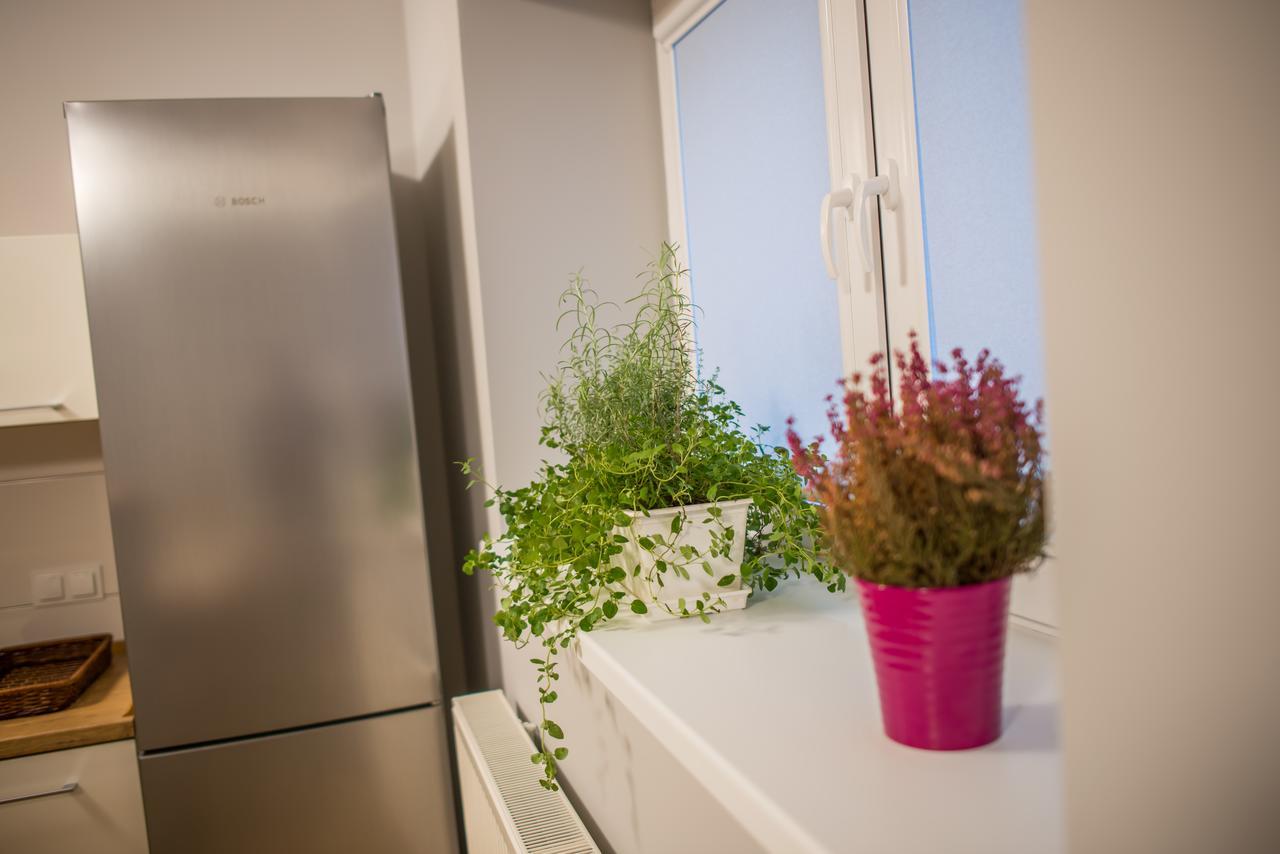 Pod Słonecznym Zegarem Apartament Ustroń Zewnętrze zdjęcie